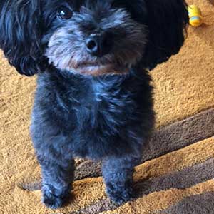 名古屋市東区の花屋「hanafutaba」インスタグラム01