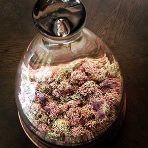 名古屋市東区の花屋「hanafutaba」インスタグラム07