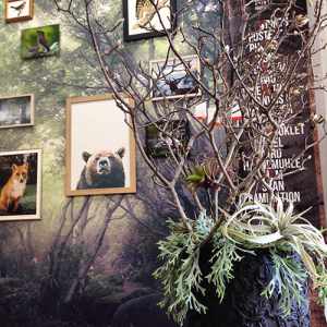 名古屋市東区の花屋「hanafutaba」空間デザイン01