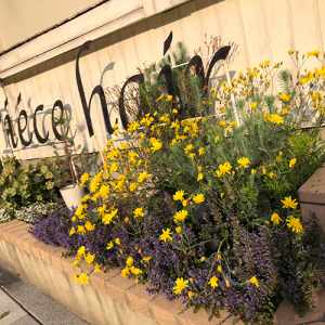 名古屋市東区の花屋「hanafutaba」ガーデン02