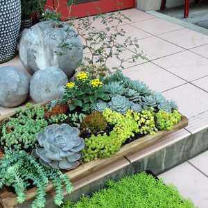 名古屋市東区の花屋「hanafutaba」ガーデン07