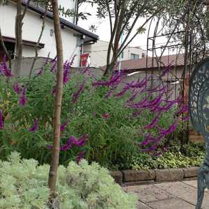 名古屋市東区の花屋「hanafutaba」ガーデン08