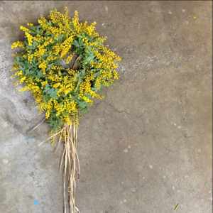 名古屋市東区の花屋「hanafutaba」レッスン03