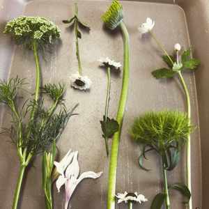 名古屋市東区の花屋「hanafutaba」レッスン06