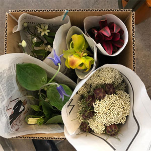 名古屋市東区の花屋「hanafutaba」お花の定期便01